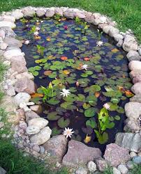 طراحی برکه و آبنما