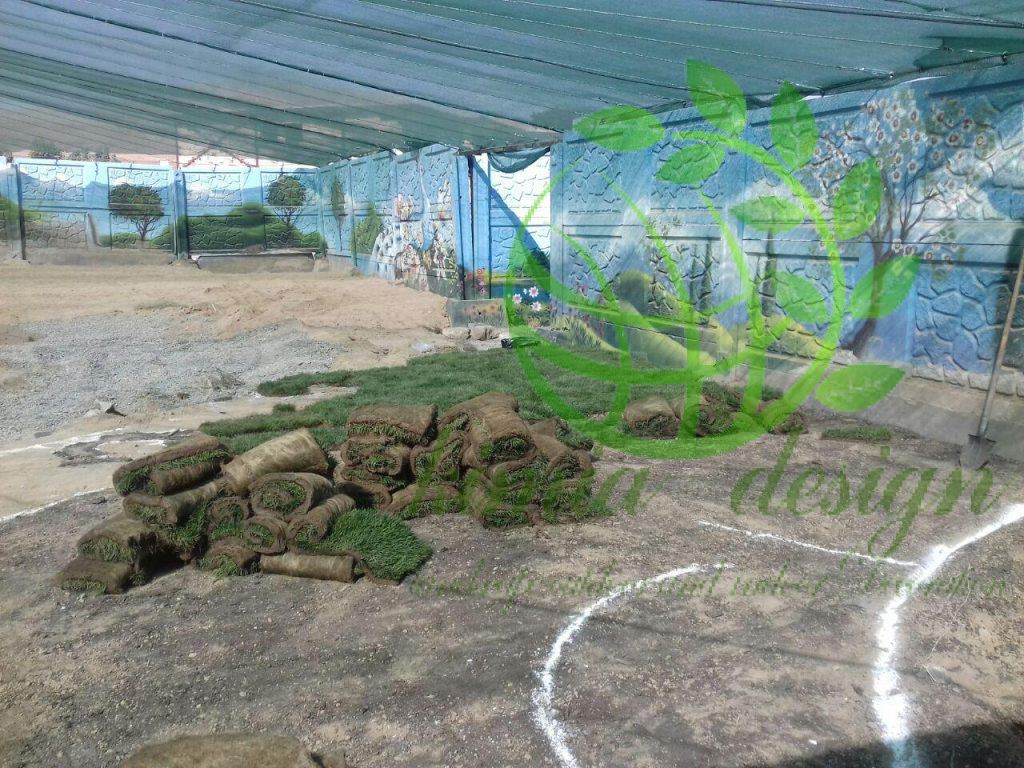 خرید چمن رولی