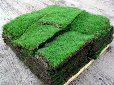 sod_soil_prep