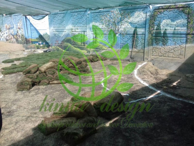 چمن سردسیر