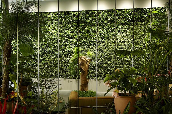 اجرای دیوار سبز