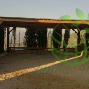 محوطه ویلایی با سایبان چوبی