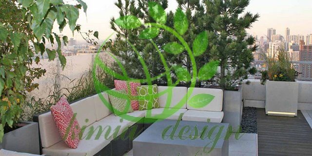 فضای سبز در پشت بام