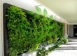 ایجاد فضای سبز دیواری