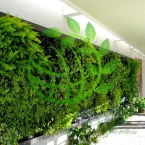 ایجاد فضای سبز دیواری