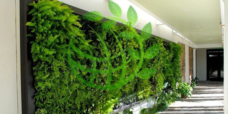 ایجاد فضای سبز دیواری