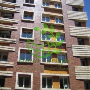 ترموود فنلاندی