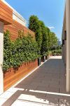 طراحی فضای سبز حیاط خانه