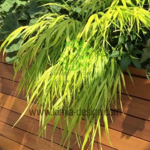 مدل باغچه حیاط کوچک
