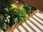 طراحی فلاورباکس ویلا