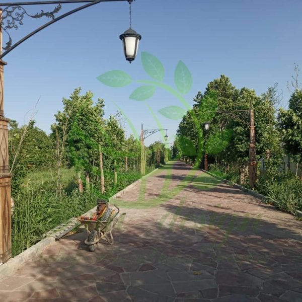 سازنده تیر برق در ایران