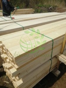چوب روسی پالتی قیمت