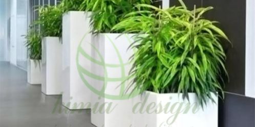 فلاورباکس گالوانیزه